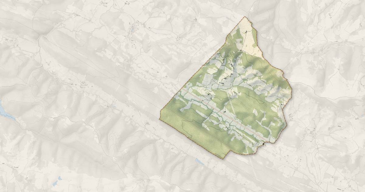 Portrait cartographique de Cazaux : relief, eau, forêts, bâti et voies, calculés à partir des données de l'IGN