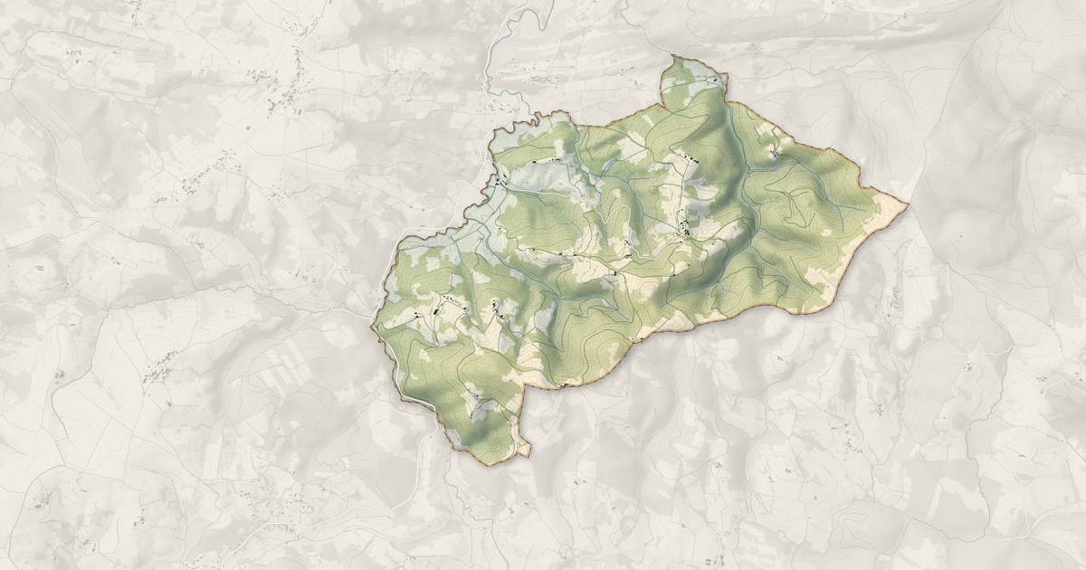 Portrait cartographique de Contrazy : relief, eau, forêts, bâti et voies, calculés à partir des données de l'IGN