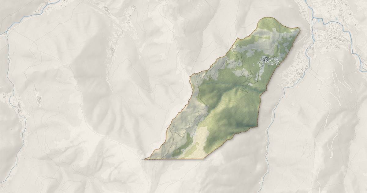 Portrait cartographique de Larcat : relief, eau, forêts, bâti et voies, calculés à partir des données de l'IGN