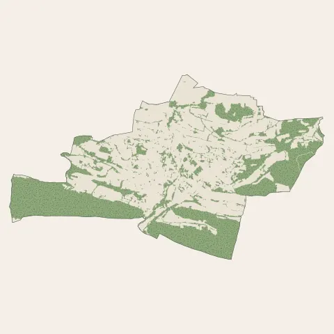 Laroque-d'Olmes : bois, forêts et landes
