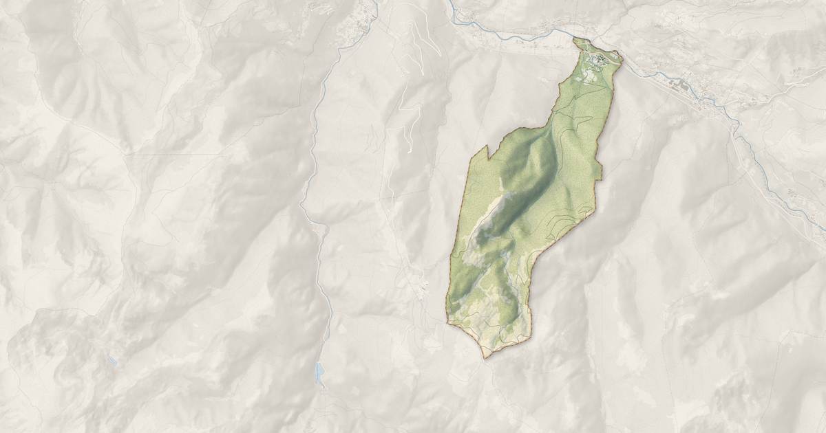 Portrait cartographique de Lassur : relief, eau, forêts, bâti et voies, calculés à partir des données de l'IGN