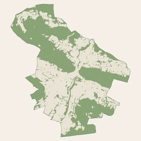 Lavelanet : bois, forêts et landes