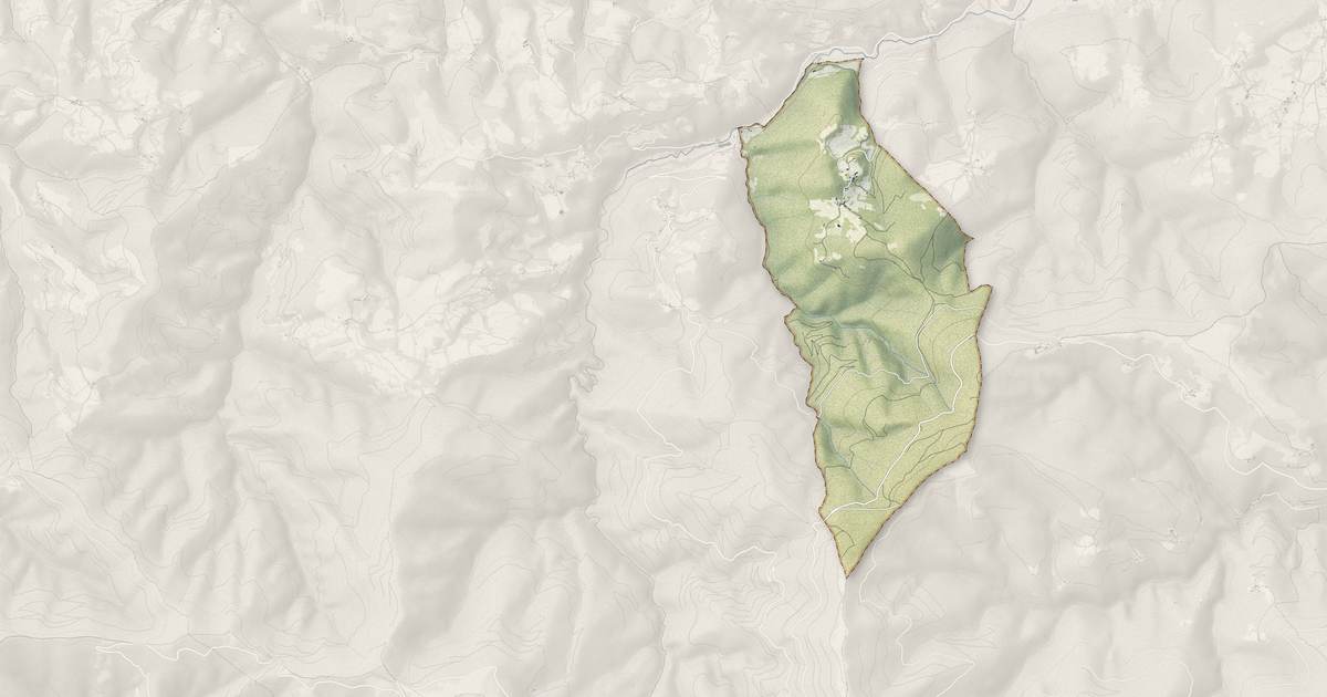 Portrait cartographique de Montagagne : relief, eau, forêts, bâti et voies, calculés à partir des données de l'IGN