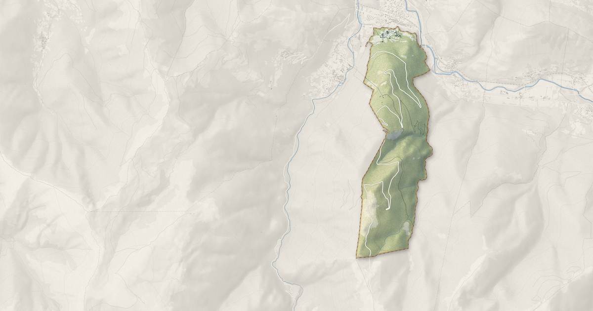 Portrait cartographique de Pech : relief, eau, forêts, bâti et voies, calculés à partir des données de l'IGN
