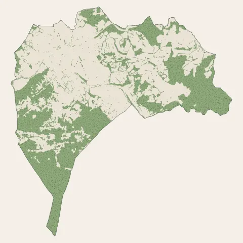 Saint-Girons : bois, forêts et landes