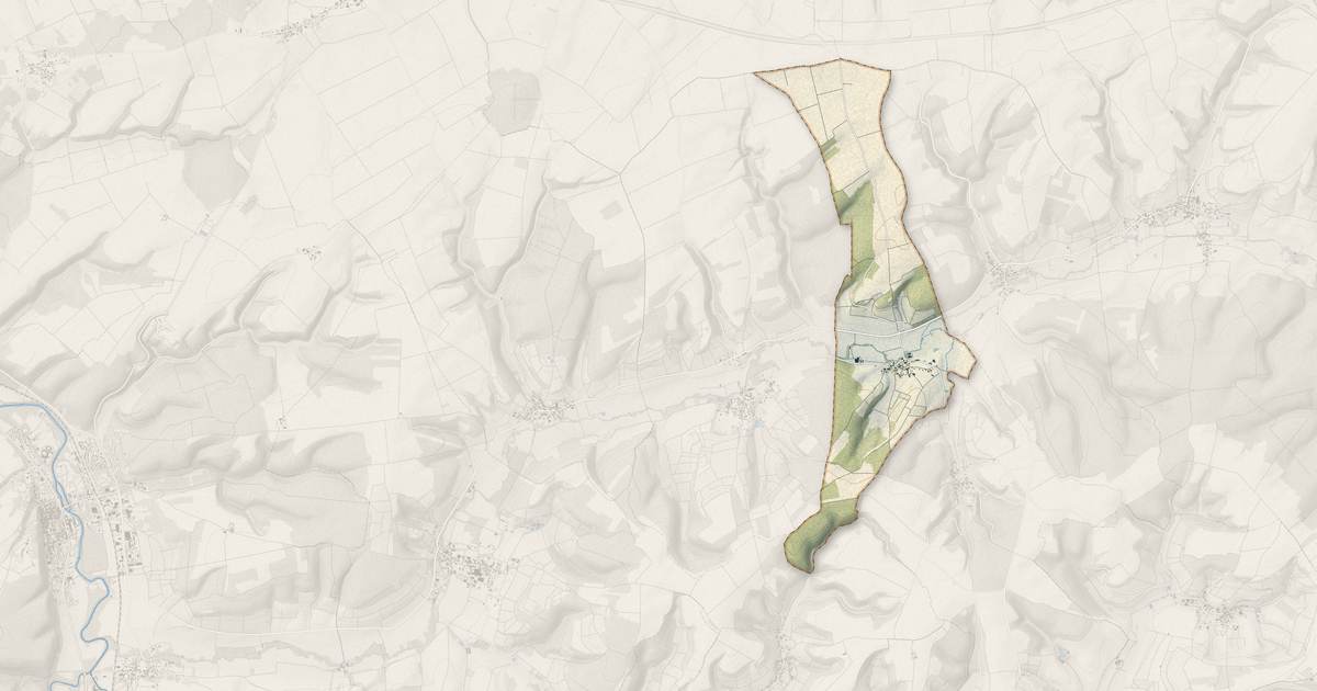 Portrait cartographique de Bertignolles : relief, eau, forêts, bâti et voies, calculés à partir des données de l'IGN