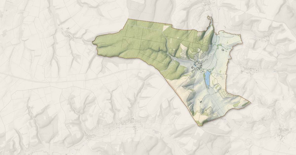 Portrait cartographique de Bligny : relief, eau, forêts, bâti et voies, calculés à partir des données de l'IGN