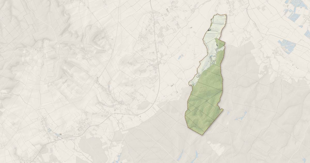 Portrait cartographique de La Vendue-Mignot : relief, eau, forêts, bâti et voies, calculés à partir des données de l'IGN