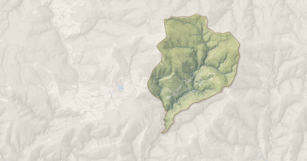 Portrait cartographique de Castans : relief, eau, forêts, bâti et voies, calculés à partir des données de l'IGN
