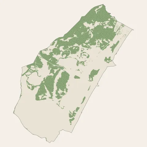 Gruissan : bois, forêts et landes