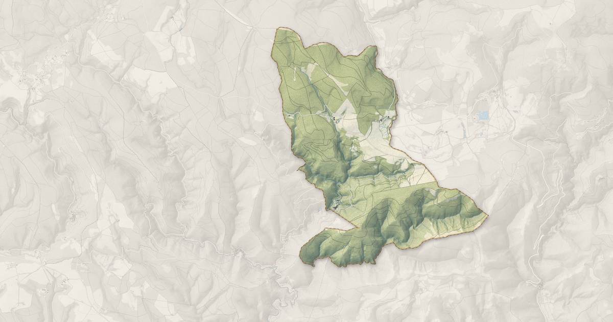 Portrait cartographique de Labastide-Esparbairenque : relief, eau, forêts, bâti et voies, calculés à partir des données de l'IGN