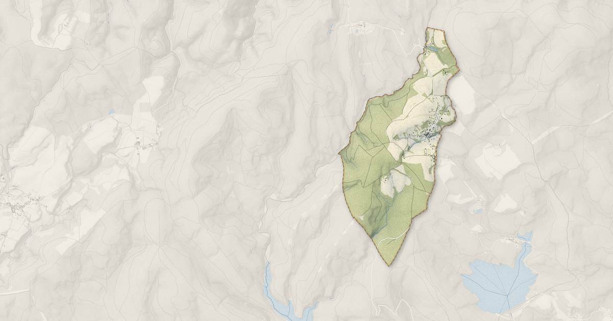 Portrait cartographique de Laprade : relief, eau, forêts, bâti et voies, calculés à partir des données de l'IGN
