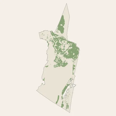 Leucate : bois, forêts et landes