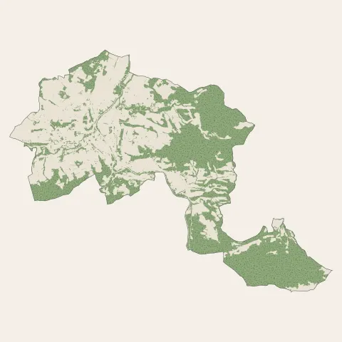 Limoux : bois, forêts et landes