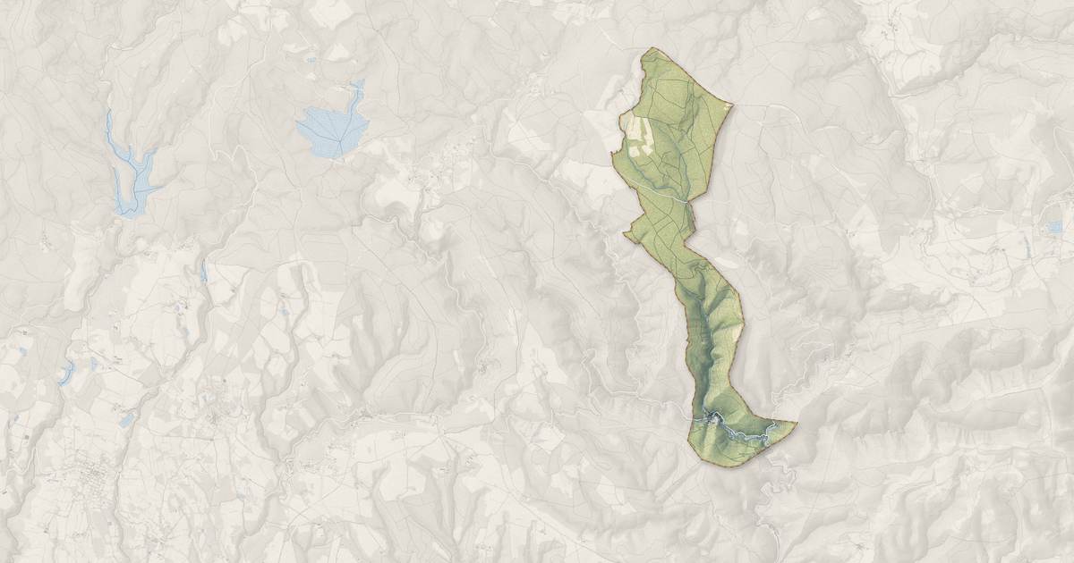 Portrait cartographique de Mas-Cabardès : relief, eau, forêts, bâti et voies, calculés à partir des données de l'IGN