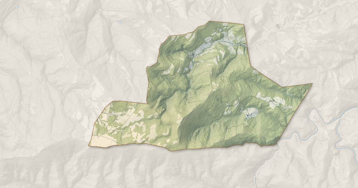 Portrait cartographique de Mayronnes : relief, eau, forêts, bâti et voies, calculés à partir des données de l'IGN