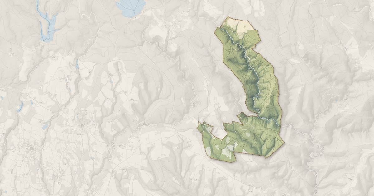 Portrait cartographique de Miraval-Cabardès : relief, eau, forêts, bâti et voies, calculés à partir des données de l'IGN