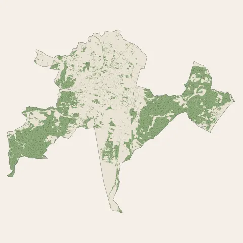 Narbonne : bois, forêts et landes