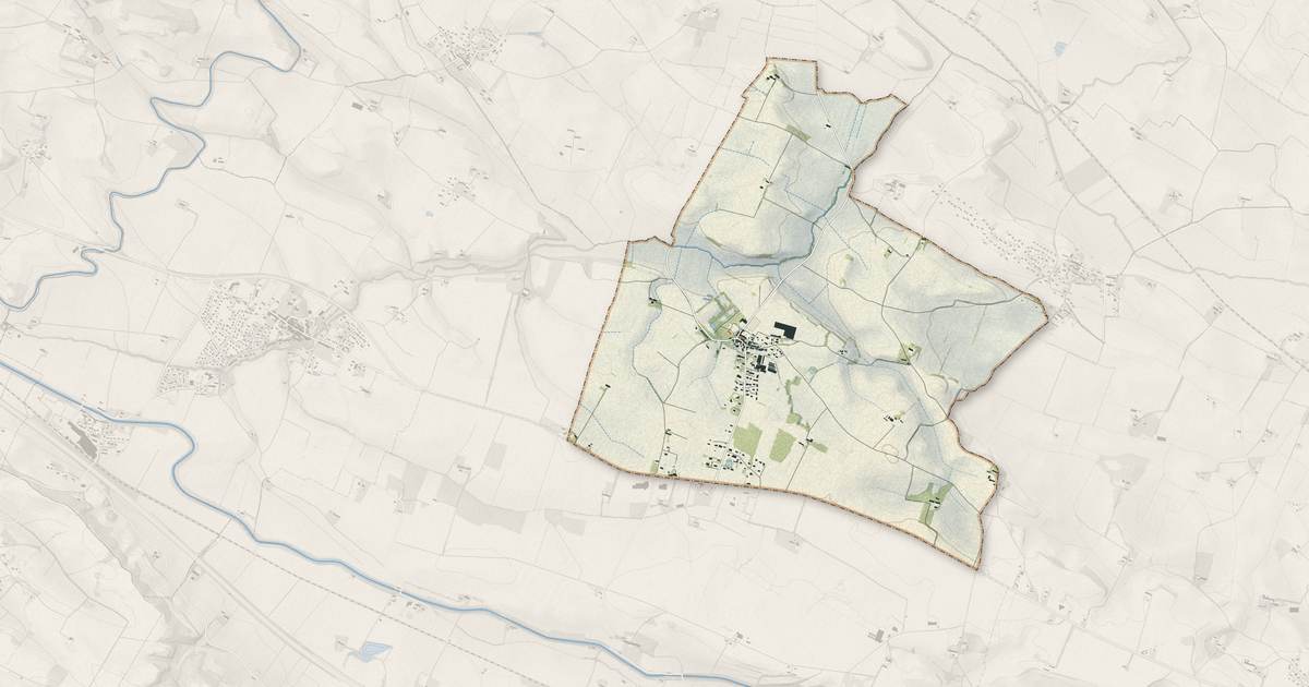Portrait cartographique de Ricaud : relief, eau, forêts, bâti et voies, calculés à partir des données de l'IGN