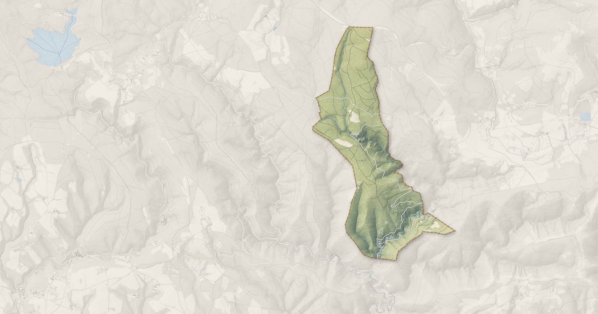 Portrait cartographique de Roquefère : relief, eau, forêts, bâti et voies, calculés à partir des données de l'IGN