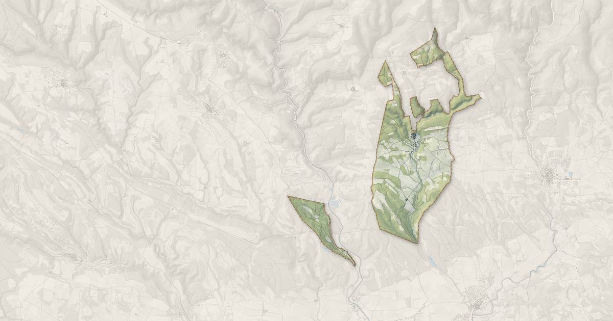 Portrait cartographique de Sallèles-Cabardès : relief, eau, forêts, bâti et voies, calculés à partir des données de l'IGN
