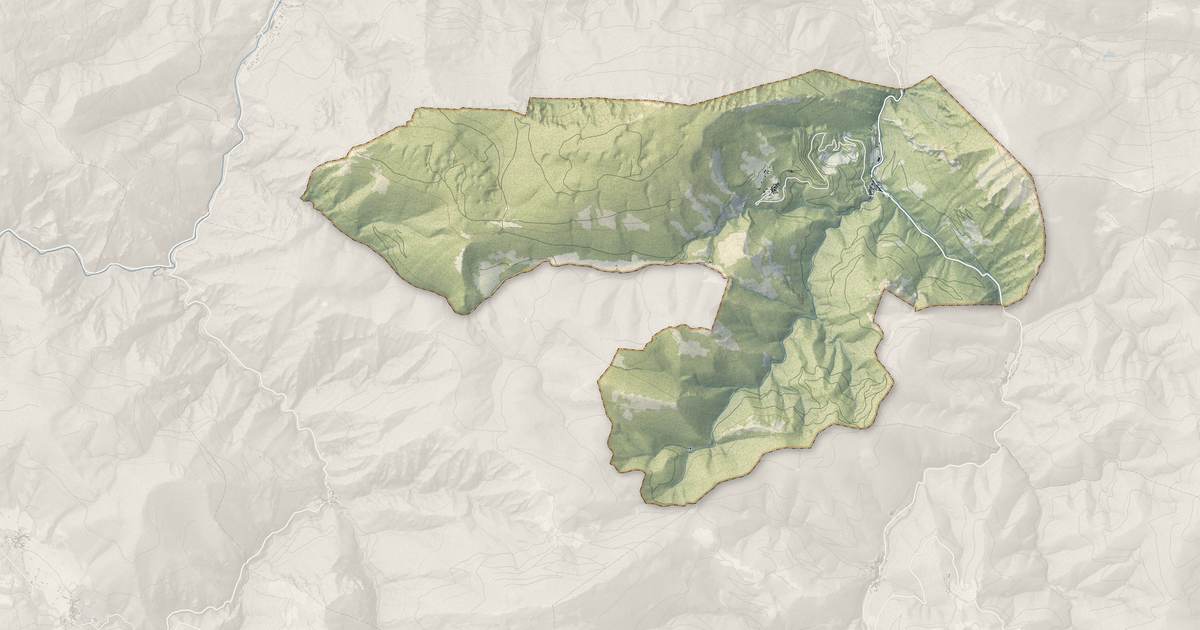 Portrait cartographique de Salvezines : relief, eau, forêts, bâti et voies, calculés à partir des données de l'IGN