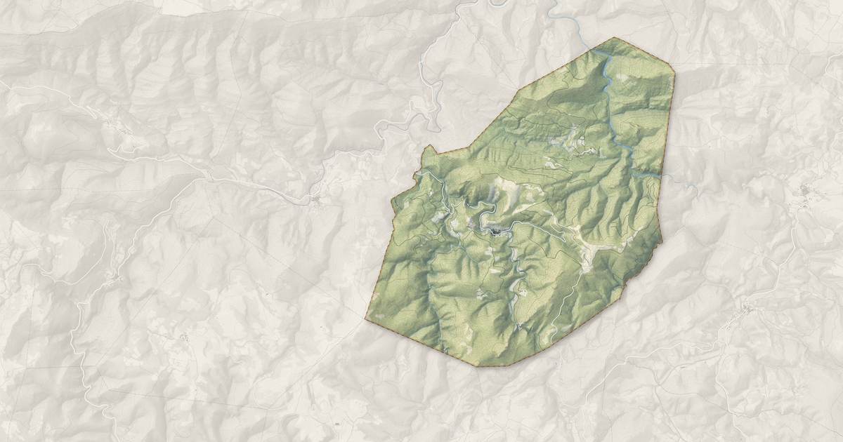 Portrait cartographique de Termes : relief, eau, forêts, bâti et voies, calculés à partir des données de l'IGN