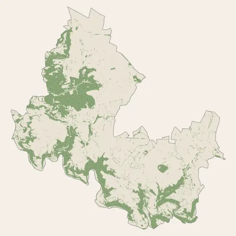Druelle Balsac : bois, forêts et landes