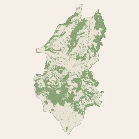 Espalion : bois, forêts et landes