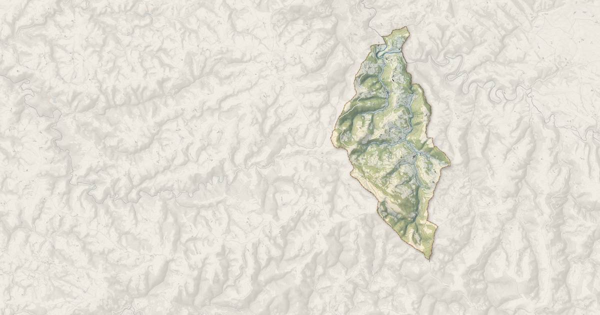 Portrait cartographique de Laval-Roquecezière : relief, eau, forêts, bâti et voies, calculés à partir des données de l'IGN