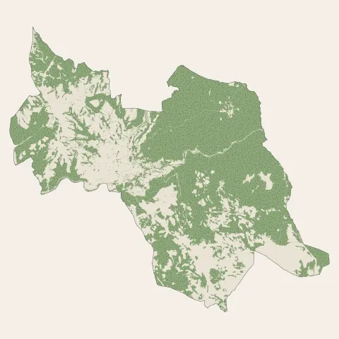 Millau : bois, forêts et landes