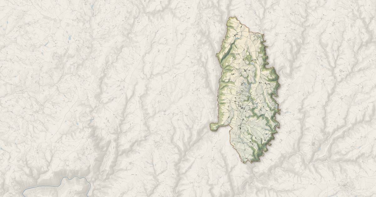 Portrait cartographique de Pradinas : relief, eau, forêts, bâti et voies, calculés à partir des données de l'IGN