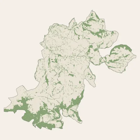 Rignac : bois, forêts et landes