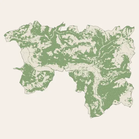 Saint-Affrique : bois, forêts et landes