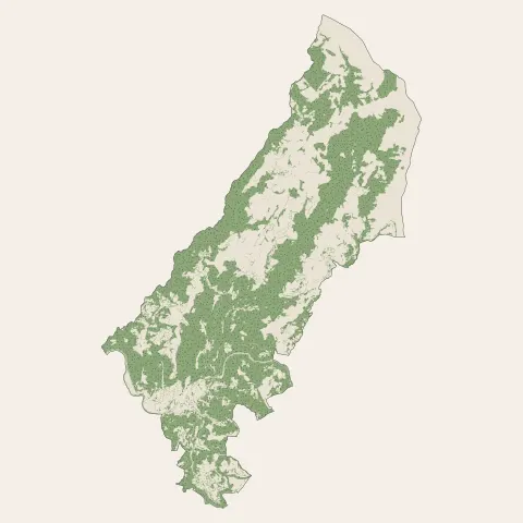 Saint Geniez d'Olt et d'Aubrac : bois, forêts et landes