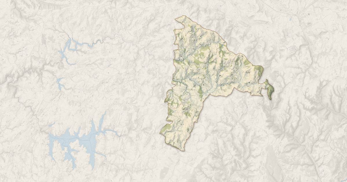Portrait cartographique de Vézins-de-Lévézou : relief, eau, forêts, bâti et voies, calculés à partir des données de l'IGN