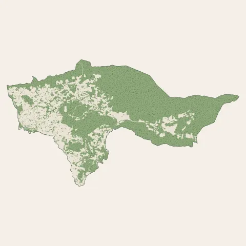 La Bouilladisse : bois, forêts et landes