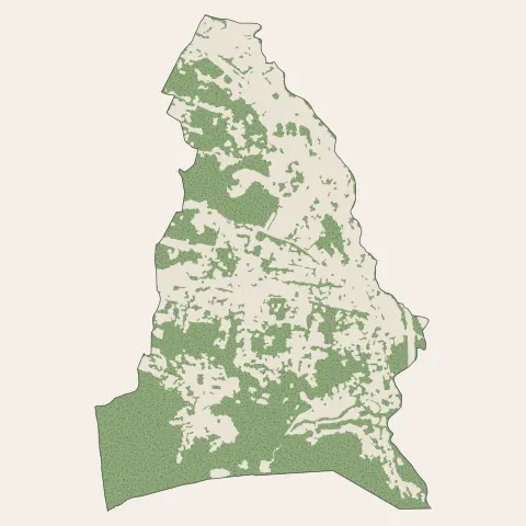 La Destrousse : bois, forêts et landes