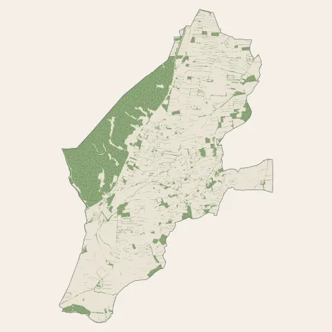 Graveson : bois, forêts et landes
