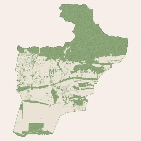 Maussane-les-Alpilles : bois, forêts et landes