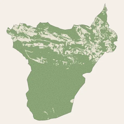Mimet : bois, forêts et landes