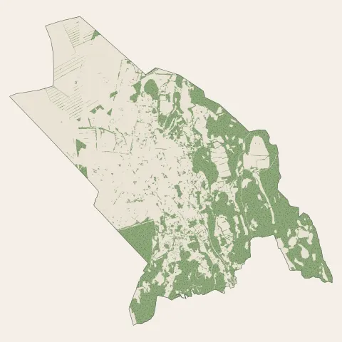 Miramas : bois, forêts et landes