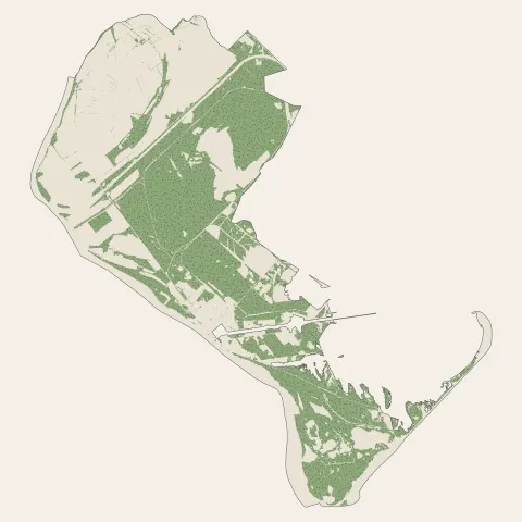 Port-Saint-Louis-du-Rhône : bois, forêts et landes