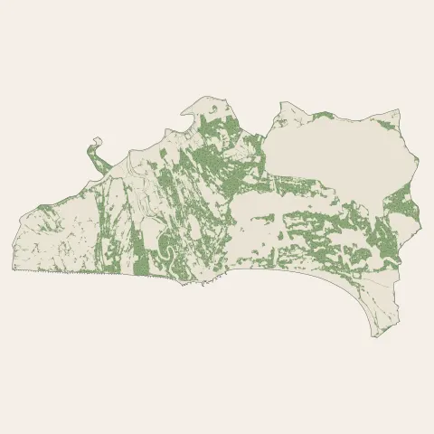 Saintes-Maries-de-la-Mer : bois, forêts et landes