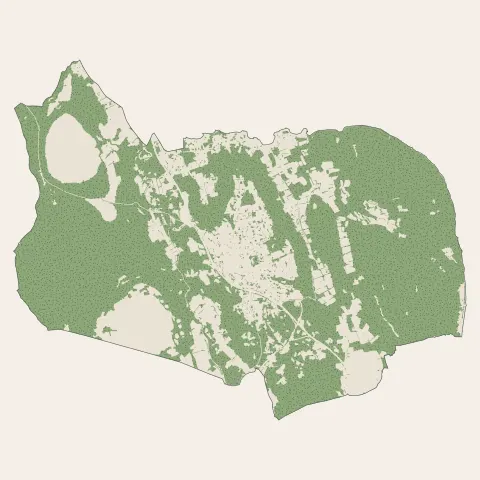 Saint-Mitre-les-Remparts : bois, forêts et landes