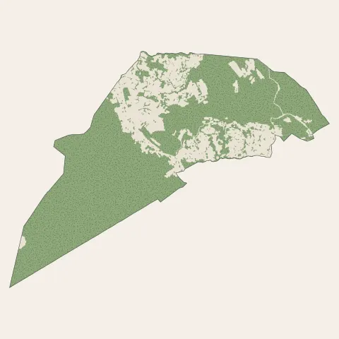 Saint-Savournin : bois, forêts et landes