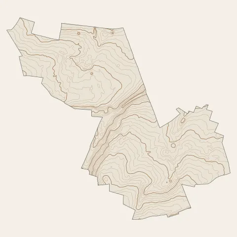 Saint-Manvieu-Norrey : courbes de niveau