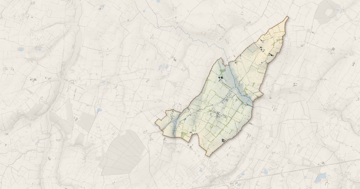 Portrait cartographique de Saonnet : relief, eau, forêts, bâti et voies, calculés à partir des données de l'IGN