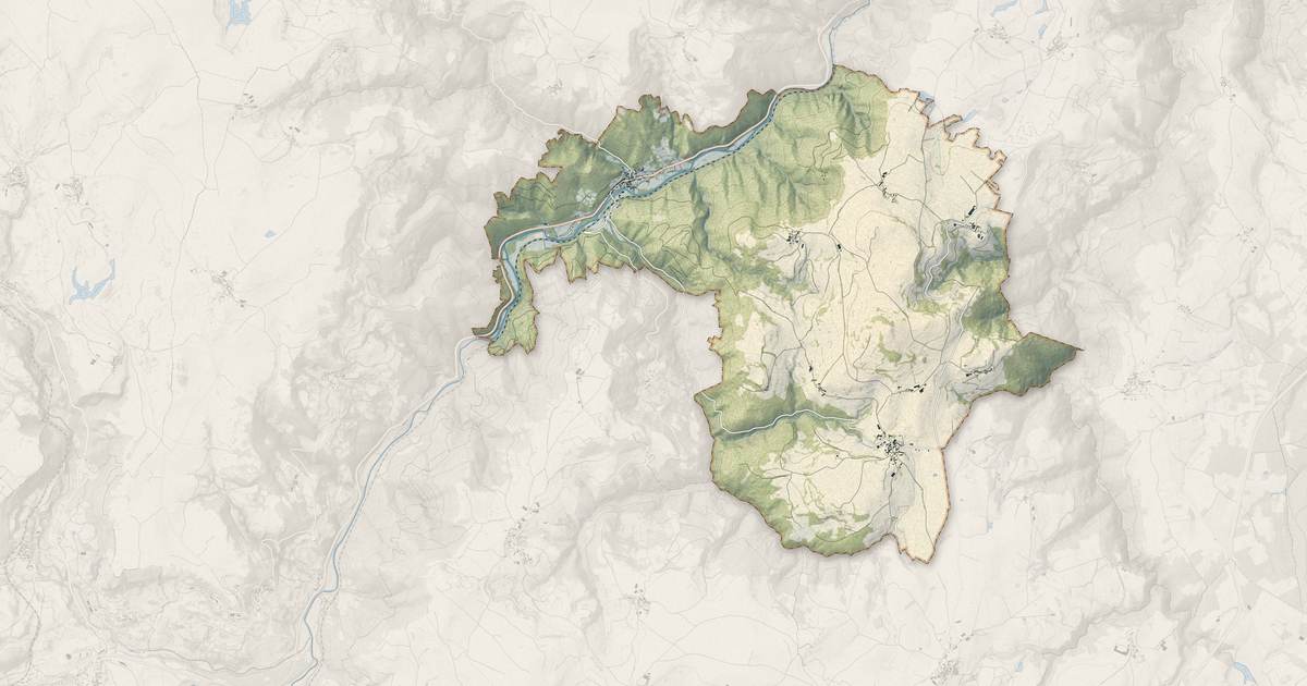 Portrait cartographique de Ferrières-Saint-Mary : relief, eau, forêts, bâti et voies, calculés à partir des données de l'IGN