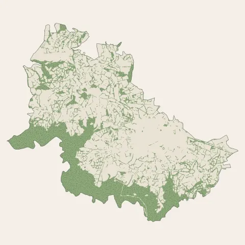 Mauriac : bois, forêts et landes